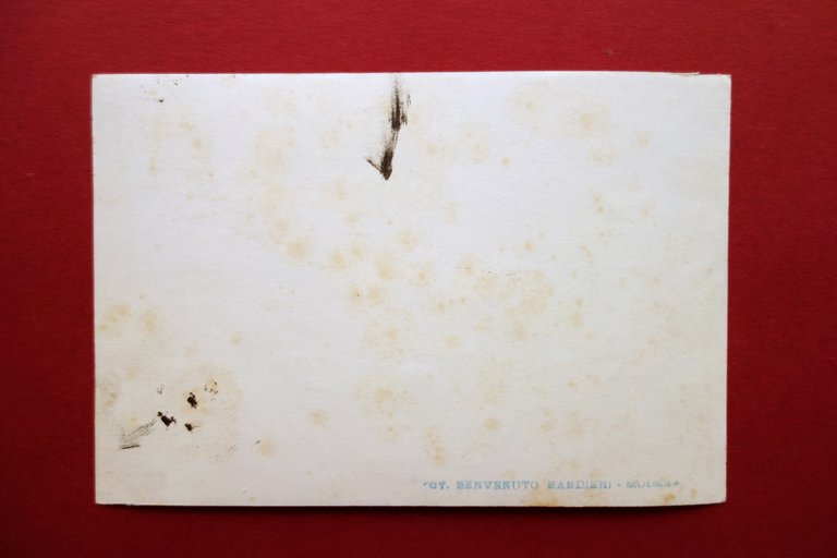 Fotografia Originale Tennis Club Modena Foto Benvenuto Bandieri Anni '20