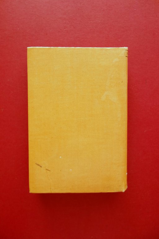 Fotografia turistica T. Zanghieri Hoepli Milano 1908 Prima Edizione Raro | Immagine Gallery 3