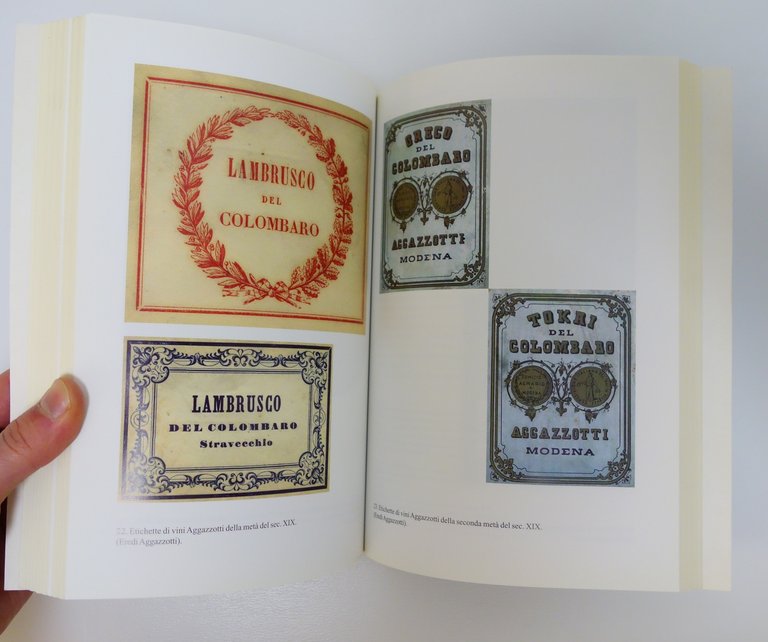 FRANCESCO AGAZZOTTI SINDACO DI FORMIGINE LAMBRUSCO ACETO BALSAMICO FANGAREZZI | Immagine Gallery 5