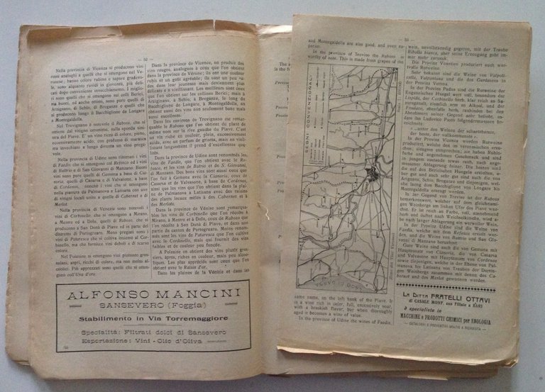 Francesco Carpentieri I Vini Italiani Le Uve da Tavola Annuario …