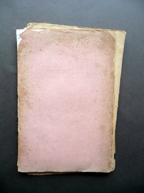 Francesco Coccapieller A. Calmi Firenze 1883 Giornalismo Politica Risorgimento