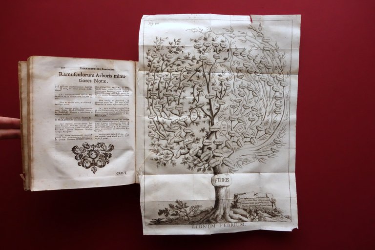 Francisci Torti Therapeutice Specialis ad Febres Periodicas Soliani Modena 1730