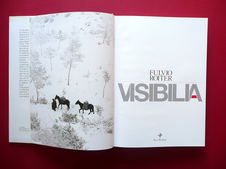Fulvio Roiter Visibilia Vita e Pensiero Milano 1992 Fotografia