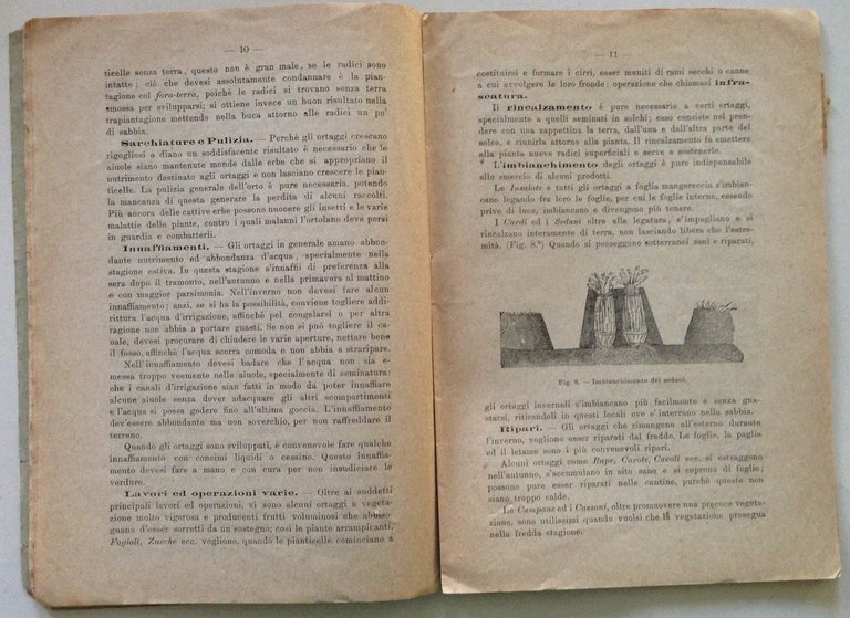 G. e M. Roda Coltivazione Degli Ortaggi Numero 1 Gennaio …