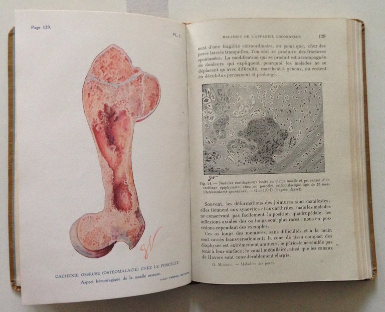 G. Moussu Les Maladies du Porc Vigot Freres Editeurs Paris …