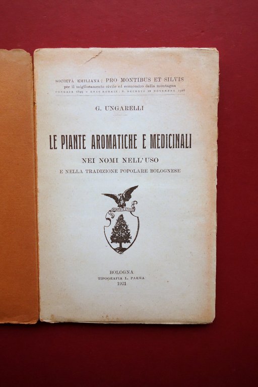 G. Ungarelli Le Piante Aromatiche e Medicinali Tip. Parma Bologna …