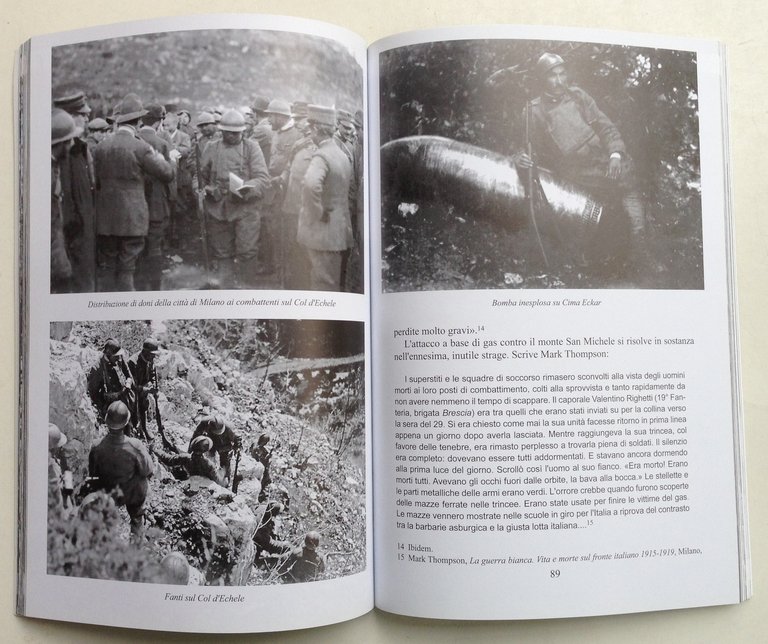 Gambarotto Storia Grande Guerra Fronte Italo Austriaco Strafexpedition Vol 7