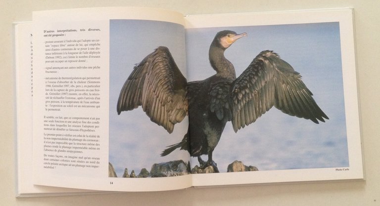 GÈrard Debout Le Grand Cormoran Eveil Nature LPO France 2000