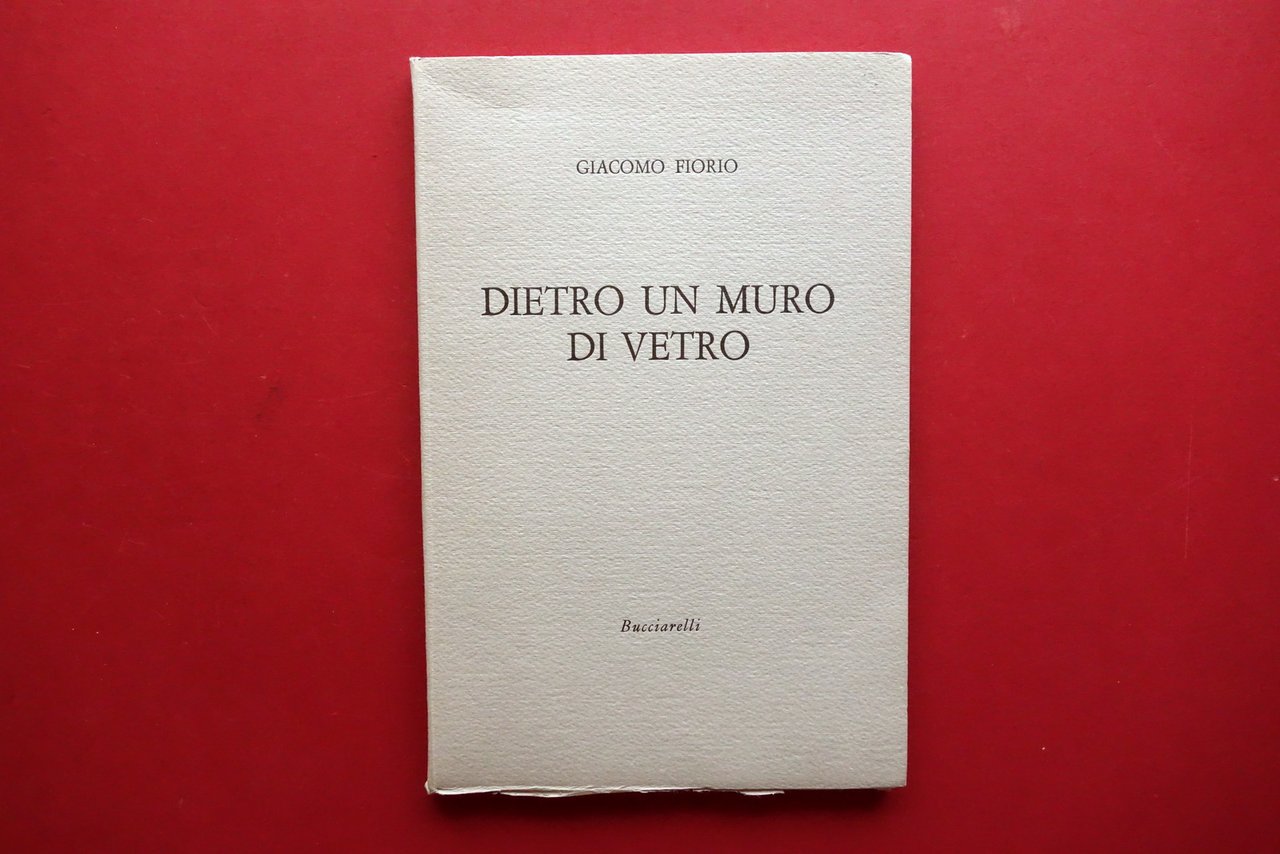 Giacomo Fiorio Dietro un Muro di Vetro Bucciarelli Acqueforti Orfeo … | Immagine principale