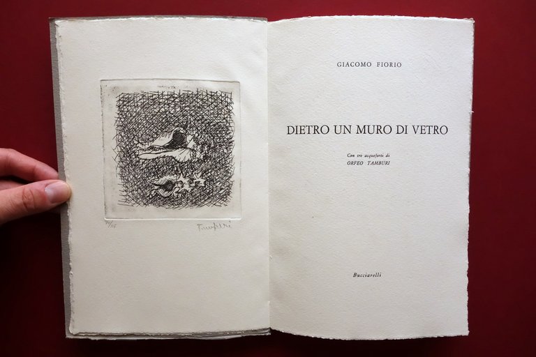 Giacomo Fiorio Dietro un Muro di Vetro Bucciarelli Acqueforti Orfeo … | Immagine Gallery 3