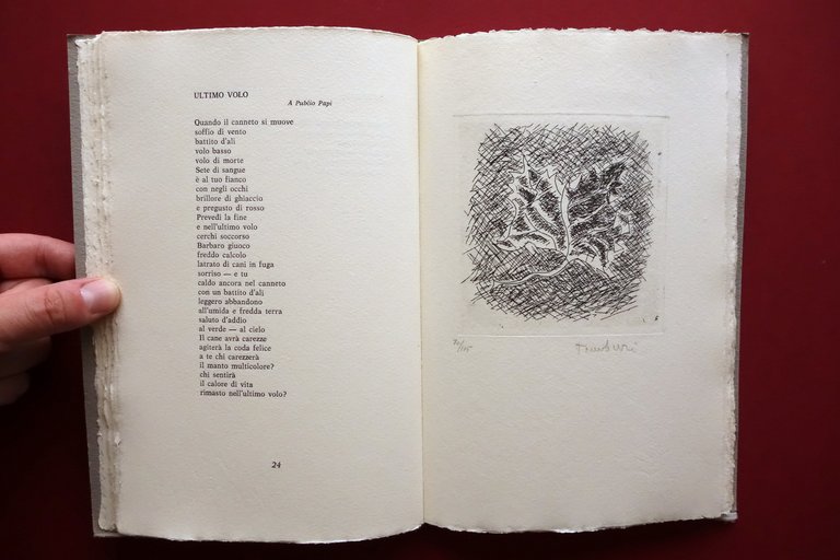 Giacomo Fiorio Dietro un Muro di Vetro Bucciarelli Acqueforti Orfeo … | Immagine Gallery 4