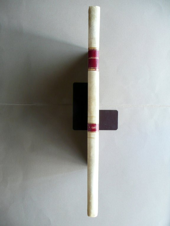 Giorgione Studio di Angelo Conti Fratelli Alinari Firenze 1894 Originale … | Immagine Gallery 4