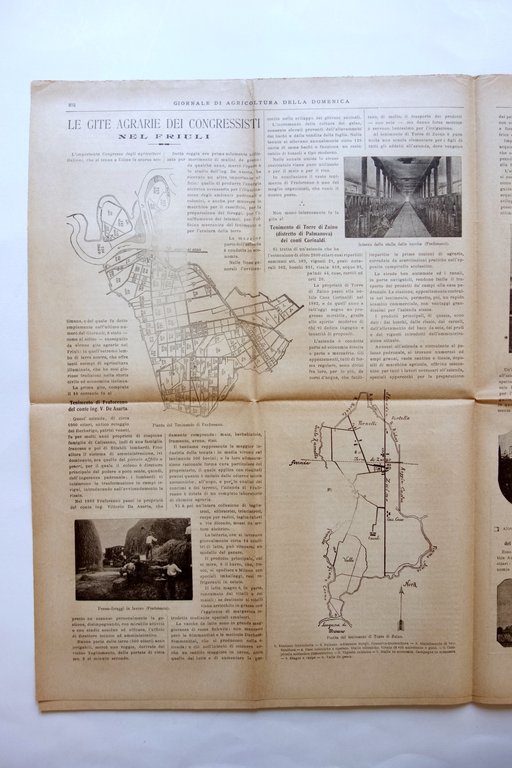 Giornale di Agricoltura della Domenica 1903 Esposizione Caseificio Reggio Emilia