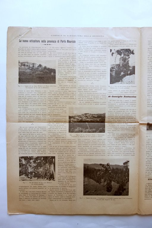 Giornale di Agricoltura della Domenica 1906 Viticoltura in Porto Maurizio