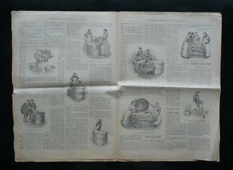 Giornale di Agricoltura della Domenica N.2 10/1/1897 Il Formaggio di …