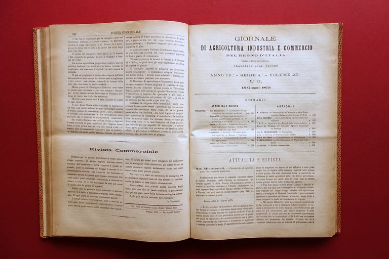 Giornale di Agricoltura Industria e Commercio Regno d'Italia 1875 Anno …