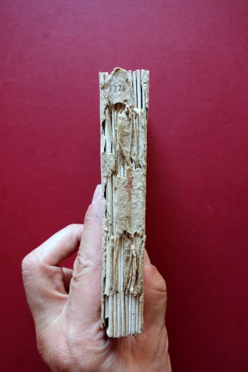 Giornale Modenese Civile Ecclesiastico per l'Anno 1774 Montanari Modena Tavola | Immagine Gallery 4