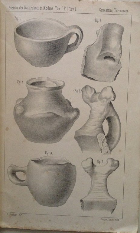 Giovanni Canestrini Oggetti Trovati nelle Terremare del Modenese Zanichelli 1866