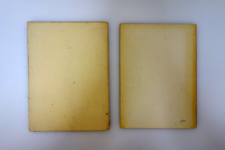 Giovanni Pico della Mirandola Maretti I Moti dell'anno 1831 a … | Immagine Gallery 2