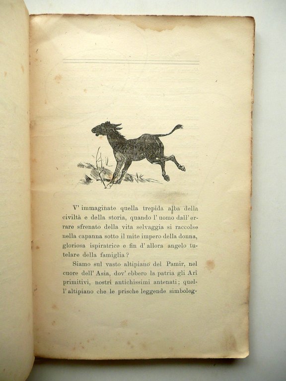 Giuseppe Finzi L'Asino nella Leggenda e Letteratura E. Sarasino Modena … | Immagine Gallery 3