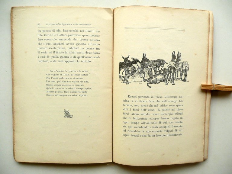 Giuseppe Finzi L'Asino nella Leggenda e Letteratura E. Sarasino Modena … | Immagine Gallery 4