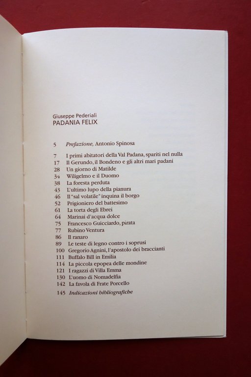 Giuseppe Pederiali Padania Felix Diabasis Reggio Emilia 1999 Copertina Ghirri
