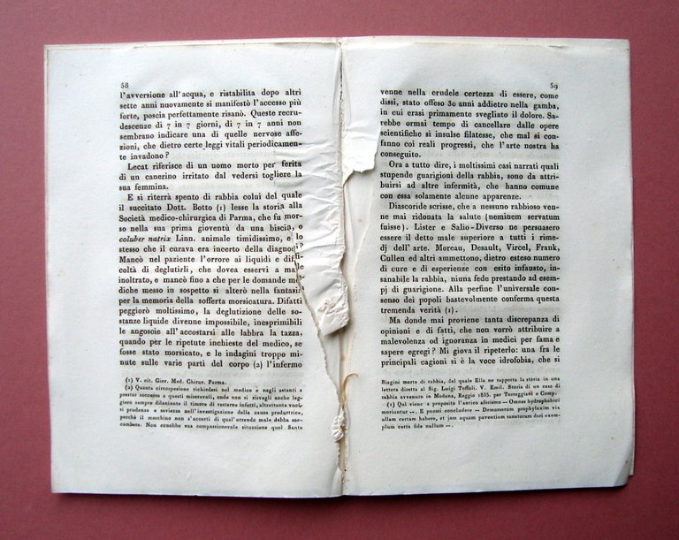 Goldoni Michele Caso di Rabbia avvenuto in Modena 1841 Tip. … | Immagine Gallery 2