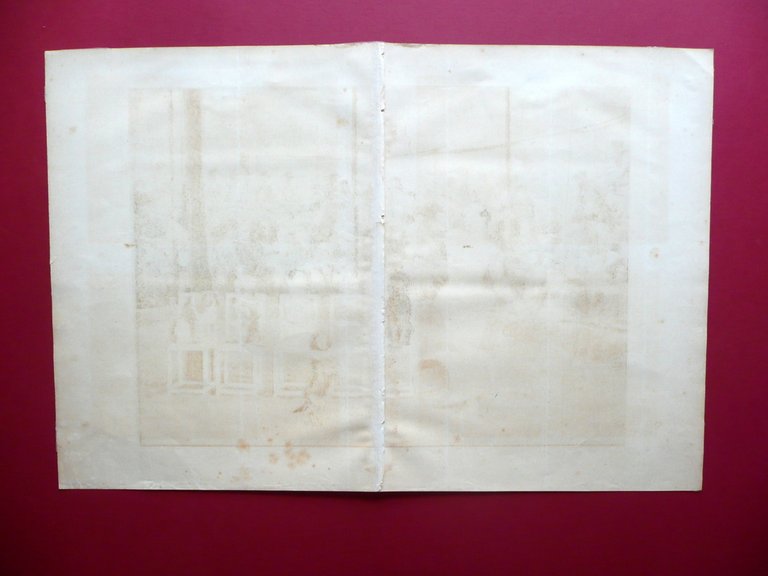 Grande Cromolitografia A Talented Troupe Circo Spettacolo Cani Animali 1886