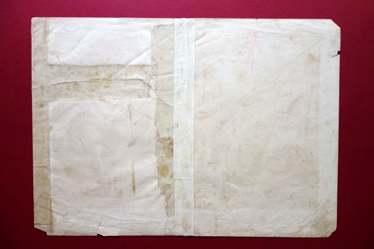 Grande Cromolitografia Animali Domestici Uccelli o Pollame Primo Novecento | Immagine Gallery 2