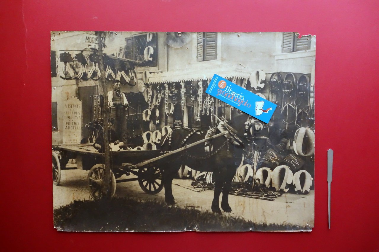 Grande Fotografia d'Epoca Pietro Arcelli Modena Selleria Cavalli Mascalcia '900 | Immagine principale