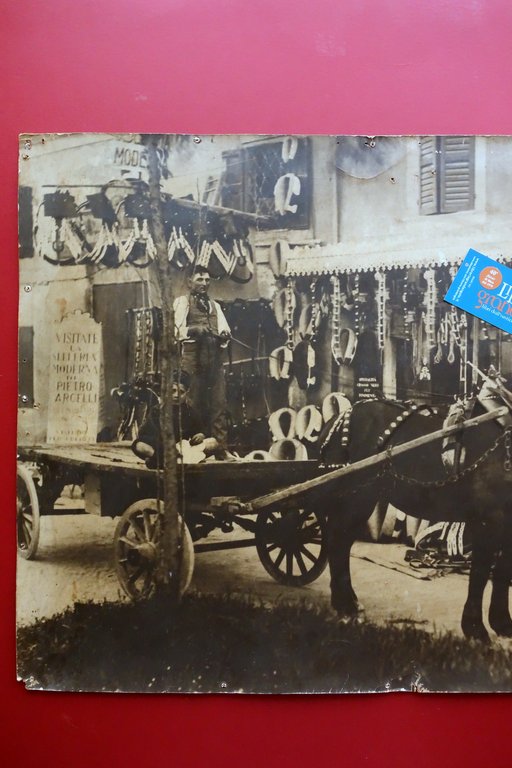 Grande Fotografia d'Epoca Pietro Arcelli Modena Selleria Cavalli Mascalcia '900 | Immagine Gallery 2