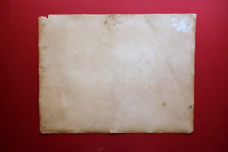 Grande Fotografia d'Epoca Pietro Arcelli Modena Selleria Cavalli Mascalcia '900 | Immagine Gallery 4