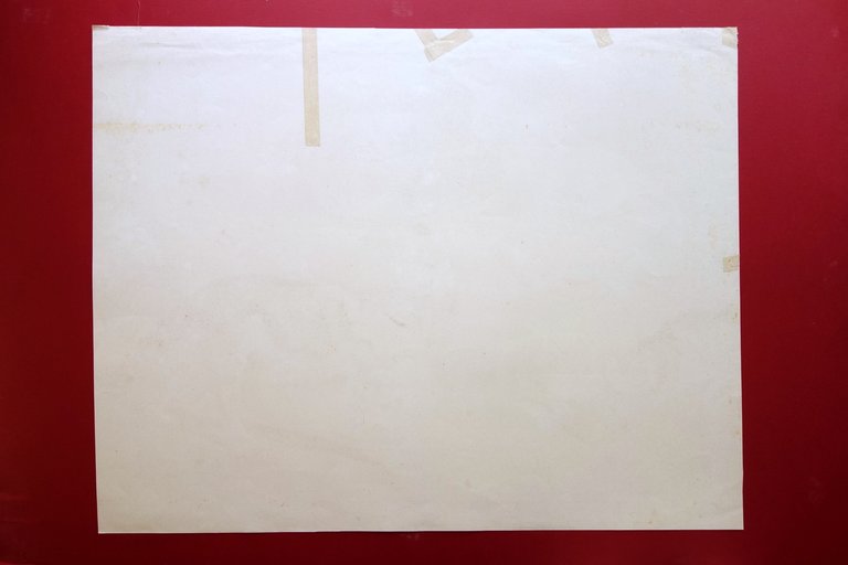 Grande Tavola Cromolitografia Gatto Domestico Animali Vallardi Primo '900