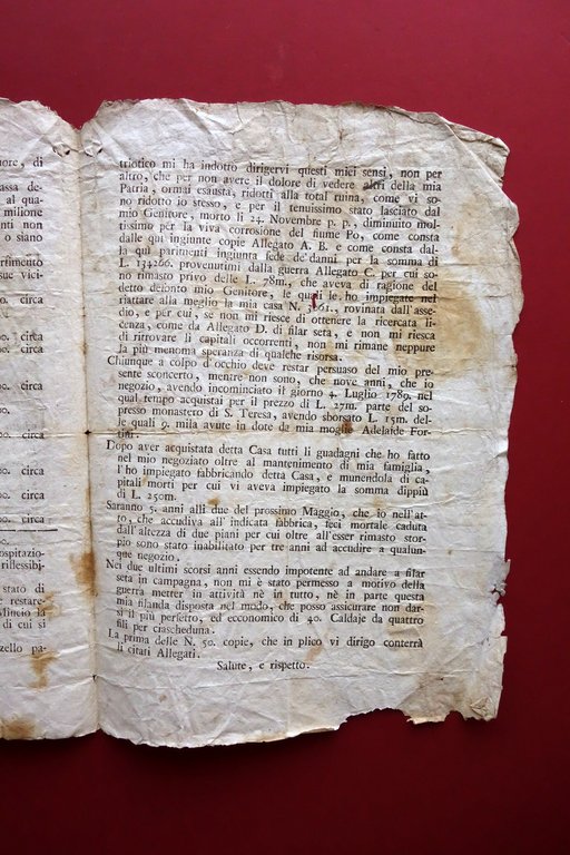 Grida Federico Turola Mantovano Contestazione Debito Dipartimento del Mincio