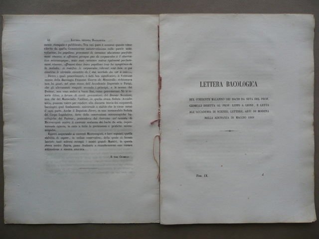 Grimelli Lettera Bacologica Bachi Seta Malanno Luppi Lione Accademia Modena … | Immagine principale