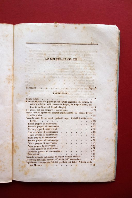 Guida all'Innesto quale Mezzo Preservativo Polmonea dei Bovini Pirotta 1853