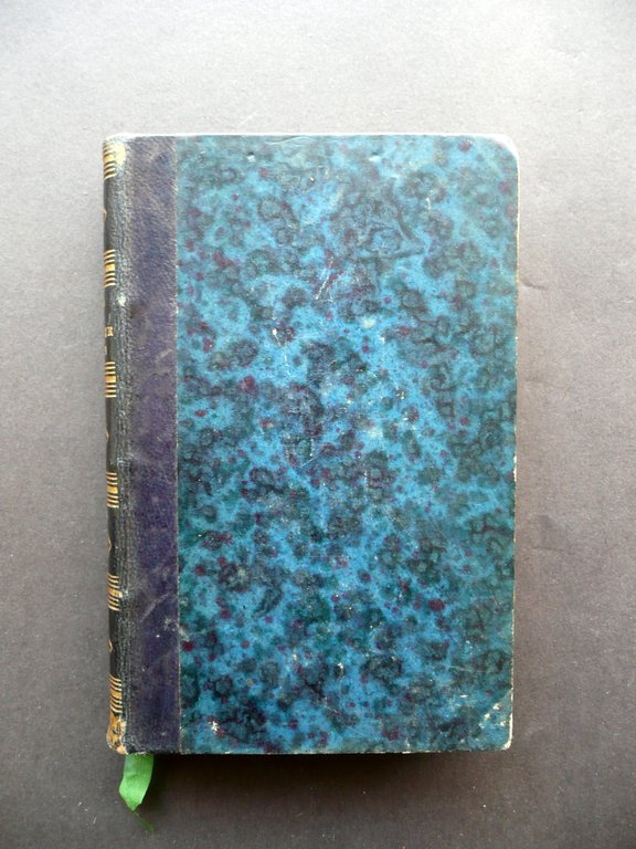 Guide du Voyageur a Lyon J. Lions Audin Paris Lions …