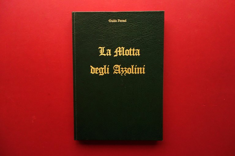 Guido Ferrari La Motta degli Azzolini Grafiche Toschi Modena 1984 Carpi