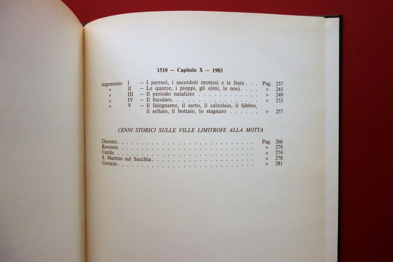 Guido Ferrari La Motta degli Azzolini Grafiche Toschi Modena 1984 …