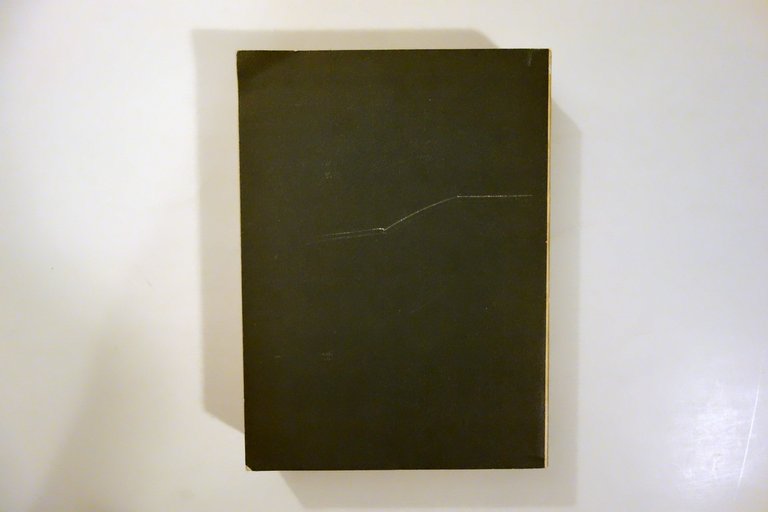 Hans Kelsen La Dottrina Pura del Diritto Einaudi Torino 1966 | Immagine Gallery 2