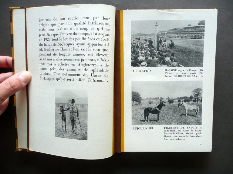 Haras de Saint Martin du Chene Octave Homberg 1929 Cavalli … | Immagine Gallery 5