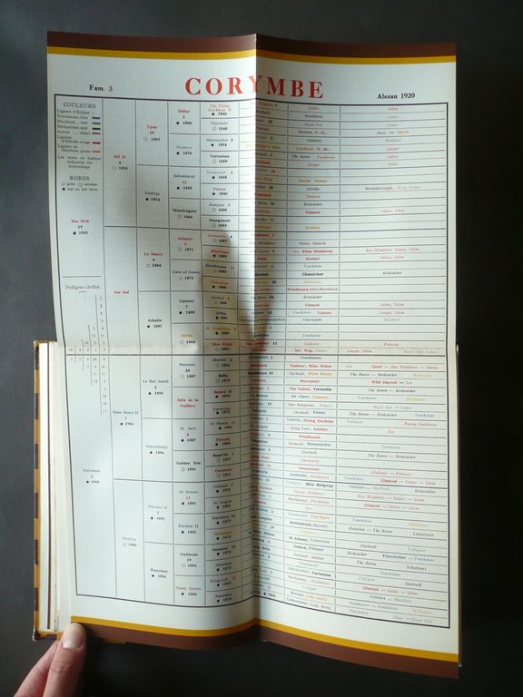 Haras de Saint Martin du Chene Octave Homberg 1929 Cavalli … | Immagine Gallery 6