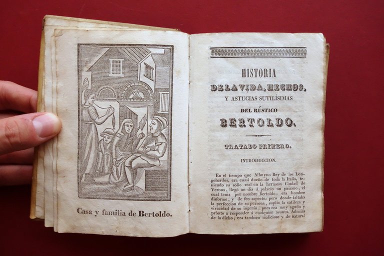 Historia de la Vida del Rustico Bertoldo Bertoldino y la …