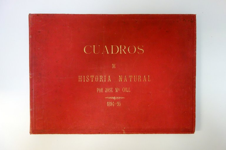 Historia Natural Jose Coll Y Bacardi Barcelona 1894-95 Album Manoscritto …