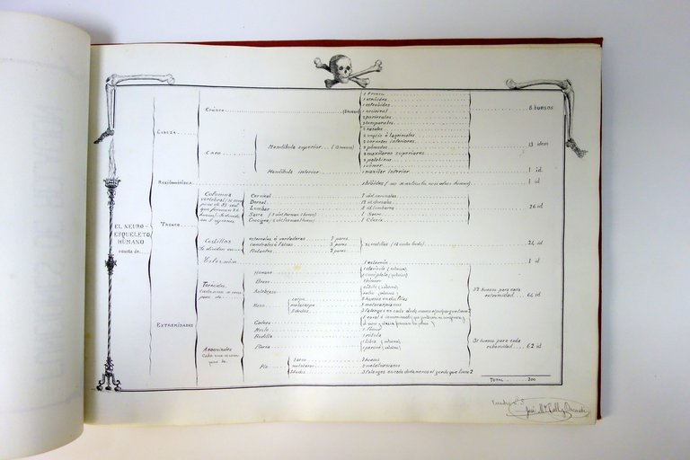 Historia Natural Jose Coll Y Bacardi Barcelona 1894-95 Album Manoscritto …
