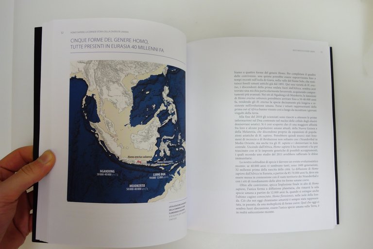 HOMO SAPIENS STORIA DELLA DIVERSA UMANITA' CAVALLI SFORZA PIEVANI CODICE … | Immagine Gallery 3