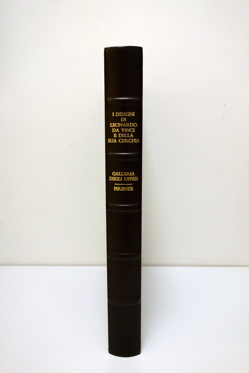 I Disegni di Leonardo da Vinci nella Galleria degli Uffizi … | Immagine principale