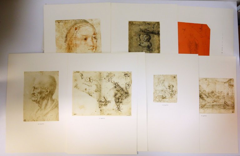 I Disegni di Leonardo da Vinci nella Galleria degli Uffizi … | Immagine Gallery 5