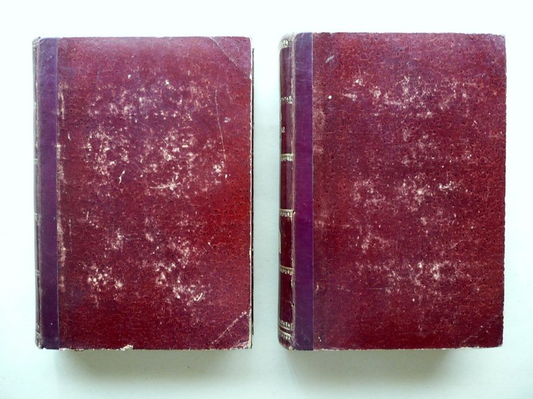 I Fasti delle Lettere in Italia A. Zoncada Poesie Prose … | Immagine Gallery 2