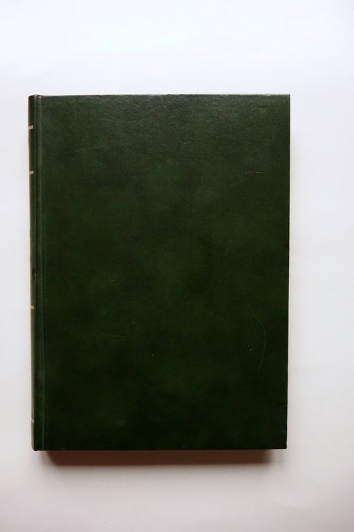 I Misteri di Venezia Romanzo Storico Illustrato Nerbini Firenze 1931 | Immagine Gallery 4